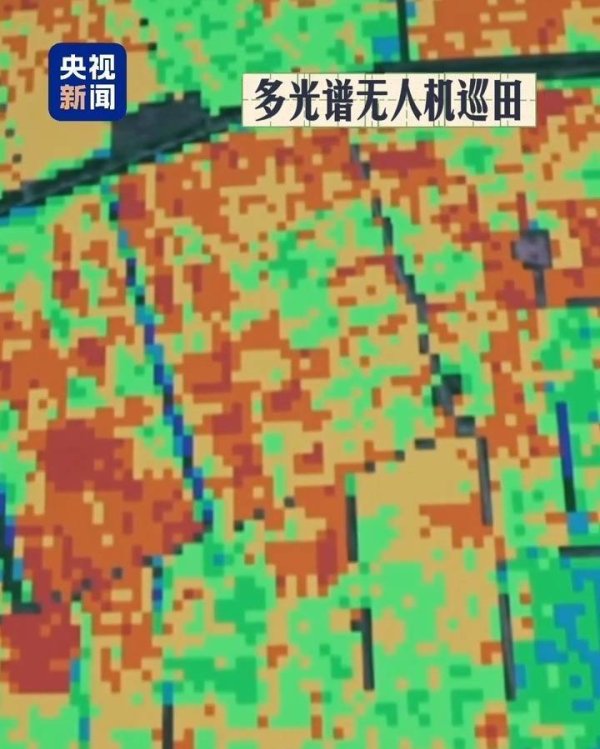 金领速配 装上硬核“智慧芯” 大国粮仓科技范儿十足了