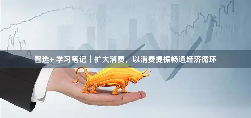 智选+ 学习笔记｜扩大消费，以消费提振畅通经济循环